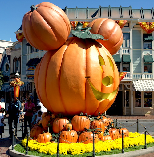 Mickey pumpkins at Disneyland