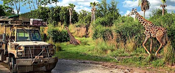 Reader ratings and reviews for Disney's Animal Kingdom