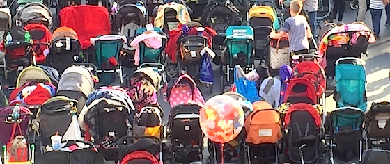 Woman charged in viral Walt Disney World stroller theft
