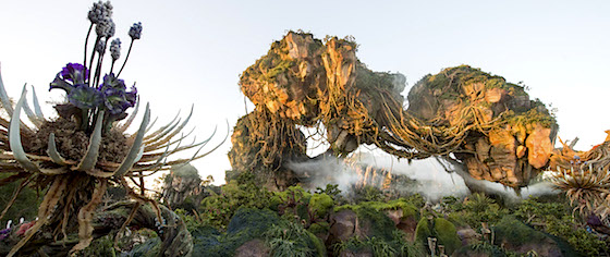 Disney to live stream official opening moment for Pandora