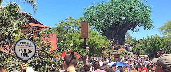 Pandora, Guardians welcome huge crowds on their opening days