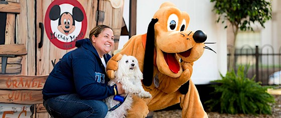 Walt Disney World to start allowing dogs in hotel guest rooms