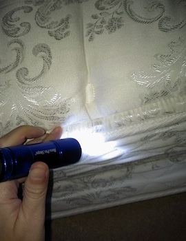 Using the LED flashlight to look for bed bugs