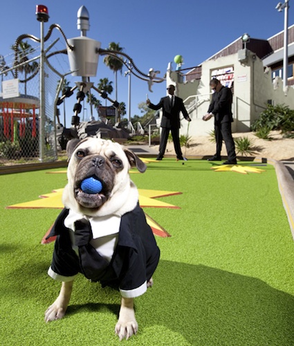 Men in Black on Hollywood Drive-In Golf