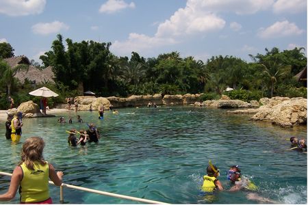 Photo of Exotic Fish Lagoon