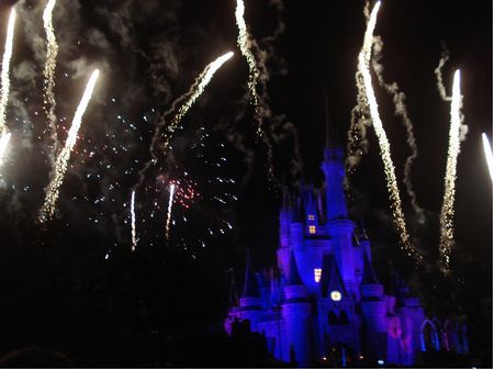 Walt Disney World's Magic Kingdom photo, from ThemeParkInsider.com