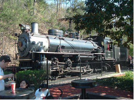 Dollywood Express photo, from ThemeParkInsider.com