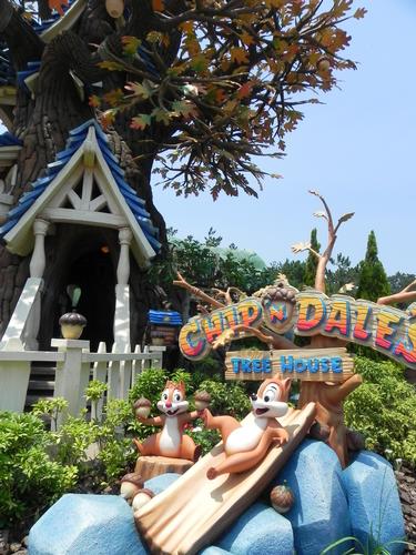 Chip 'n Dale Treehouse photo, from ThemeParkInsider.com
