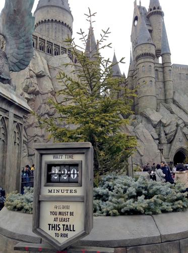 Harry Potter and the Forbidden Wait Time