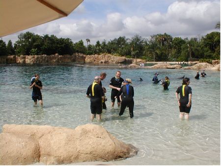 Discovery Cove photo, from ThemeParkInsider.com