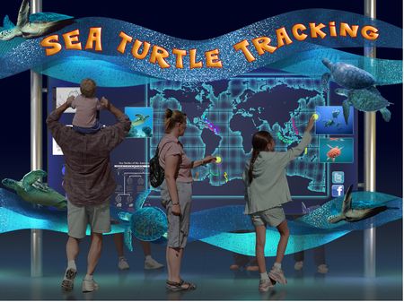Sea Turtle Tracking