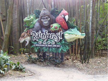 Rainforest Cafe photo, from ThemeParkInsider.com