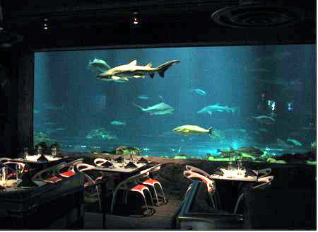 Sharks Underwater Grill at SeaWorld