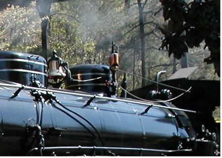 Dollywood Express photo, from ThemeParkInsider.com