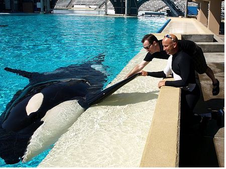 Robert Niles, Ken Peters and Corky the Orca at SeaWorld San Diego