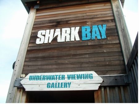 Shark Bay photo, from ThemeParkInsider.com