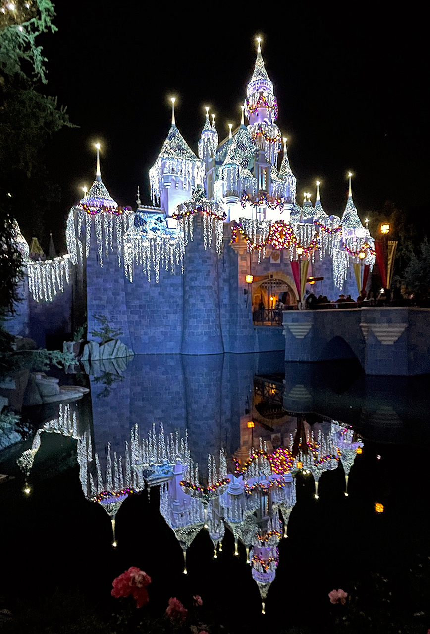 Sleeping Beauty Castle Christmas lights