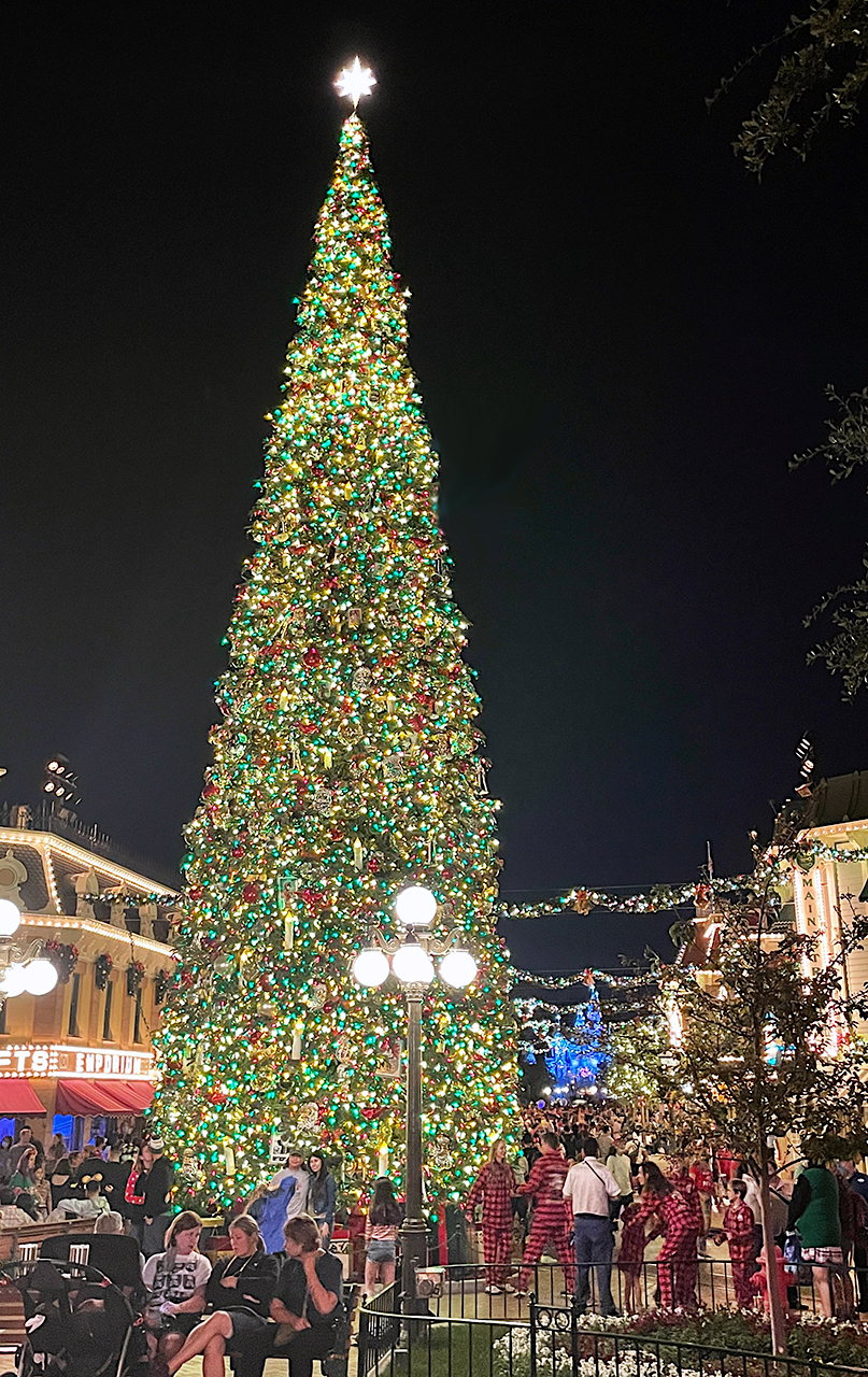 Christmas tree in Disneyland's Town Square