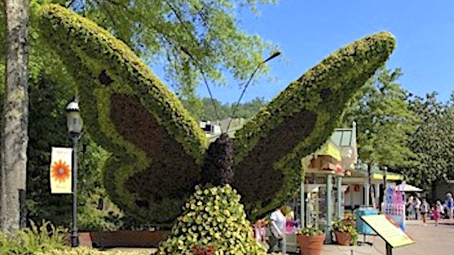 Dollywood butterfly topiary
