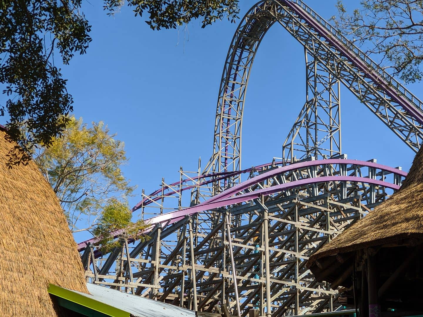 SheiKra Front Row POV Ride at Busch Gardens Tampa Bay on Roller