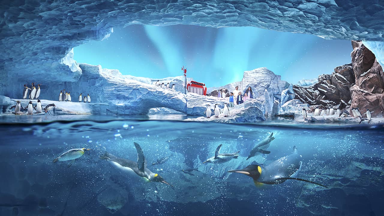 Polar Ocean - Antarctica