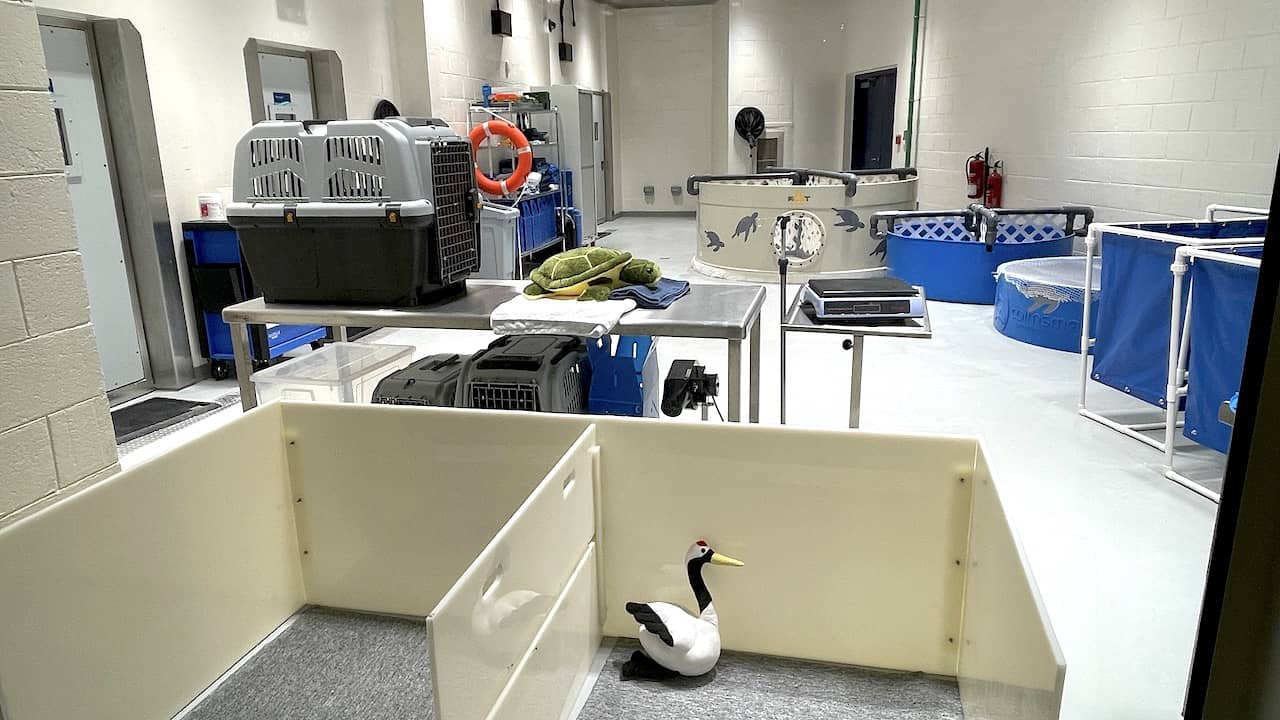 Small animal care room at Yas SeaWorld Research & Rescue