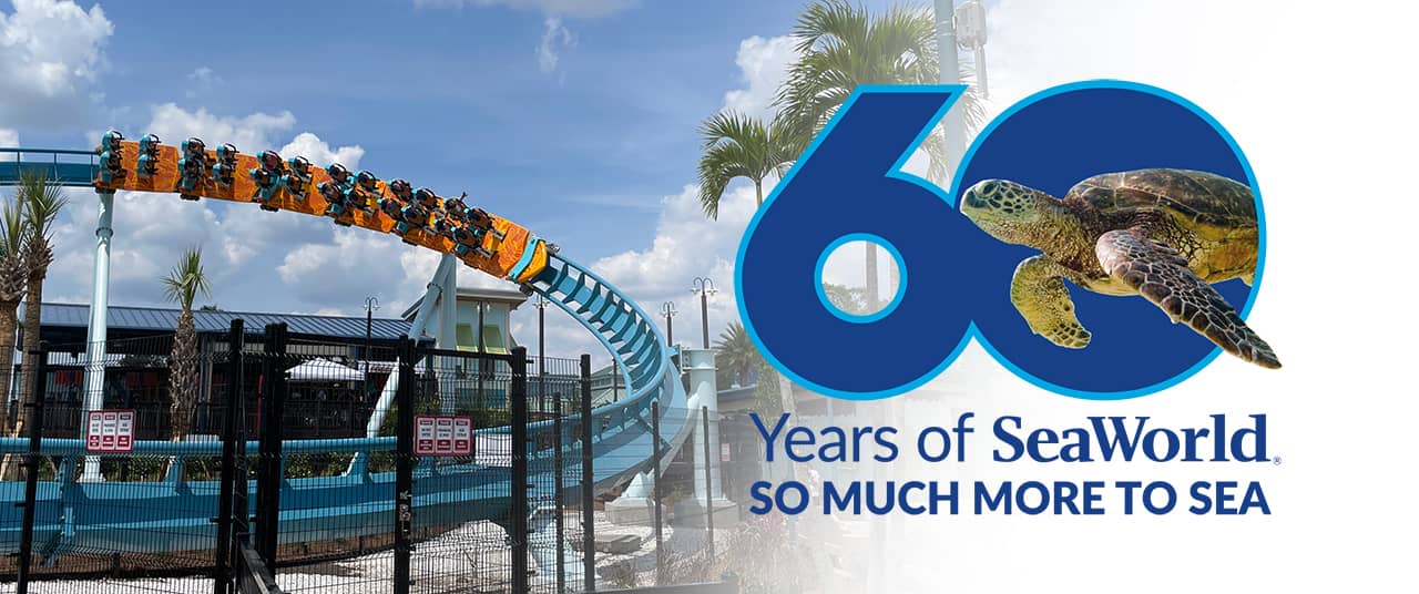 SeaWorld prepares for 60th anniversary celebration