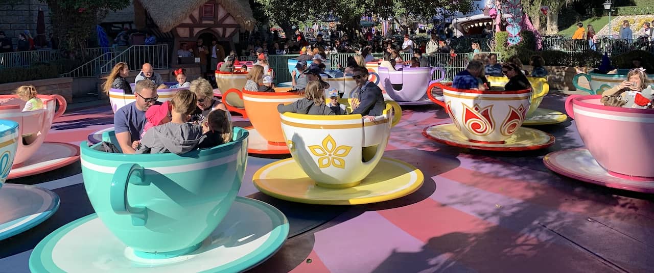 What are the most popular rides at Disney?
