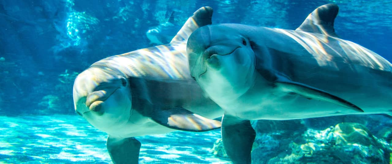 Week in Review image