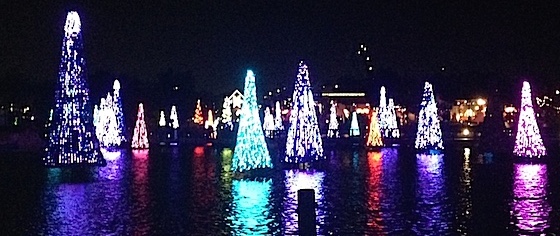 Celebrating Christmas, at SeaWorld Orlando