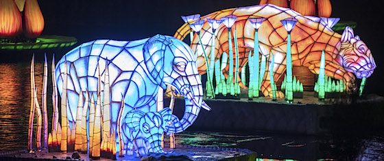 Disney's Rivers of Light to open Feb. 17; Wishes to close in May