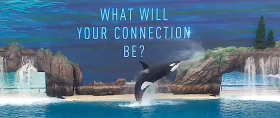 SeaWorld looks to next generation with new orca show and children's land