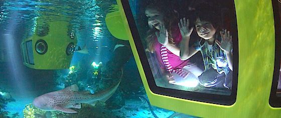 Legoland California announces new submarine ride for 2018