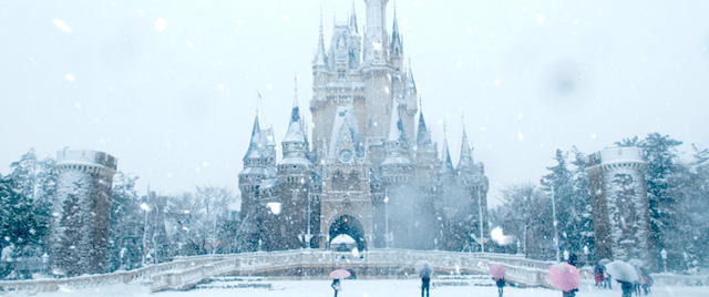 Let's share tips for visiting Disney in the rain and cold