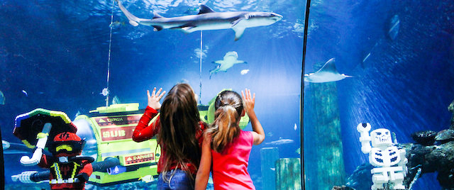Sea Life Aquarium to Reopen at Legoland California