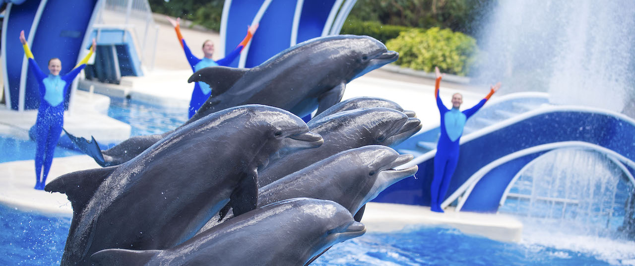 SeaWorld Reports Strong Second Quarter Earnings