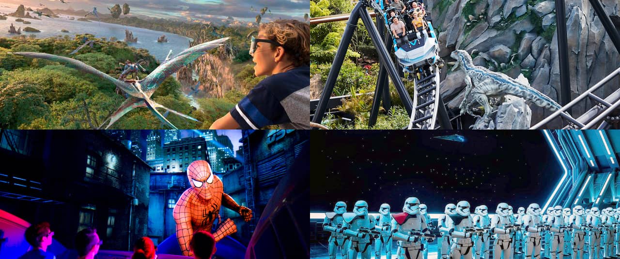 Final Round Vote: What Is the Best Theme Park Attraction?