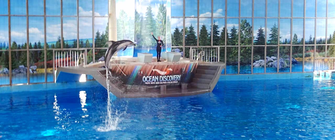 SeaWorld Theme Parks Book Record Revenue, Earnings