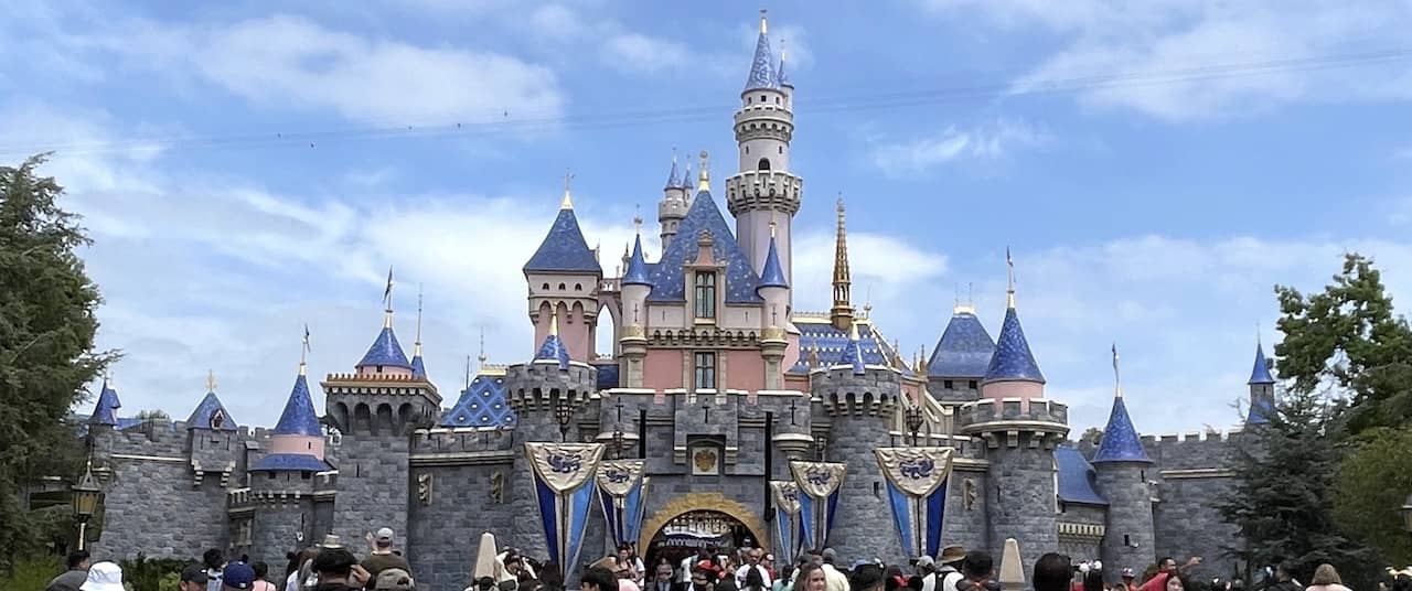 Disney's Theme Parks Report Record Financial Results