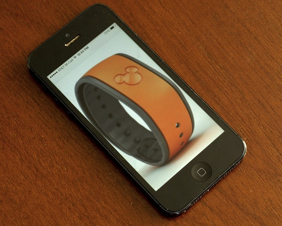 Phone or MagicBand?