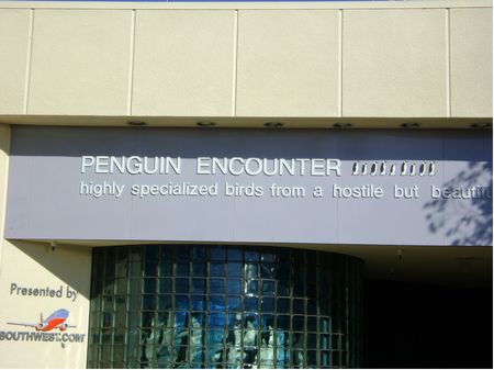 Penguin Encounter photo, from ThemeParkInsider.com